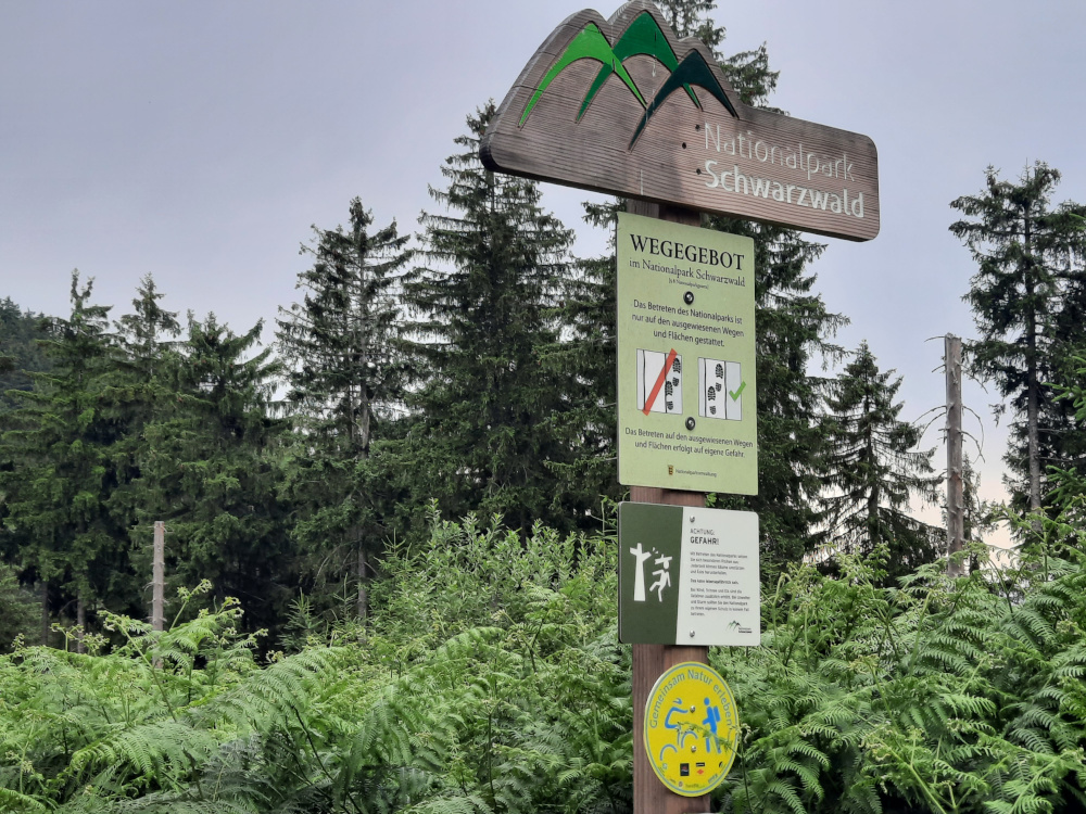 Nationalpark Schwarzwald