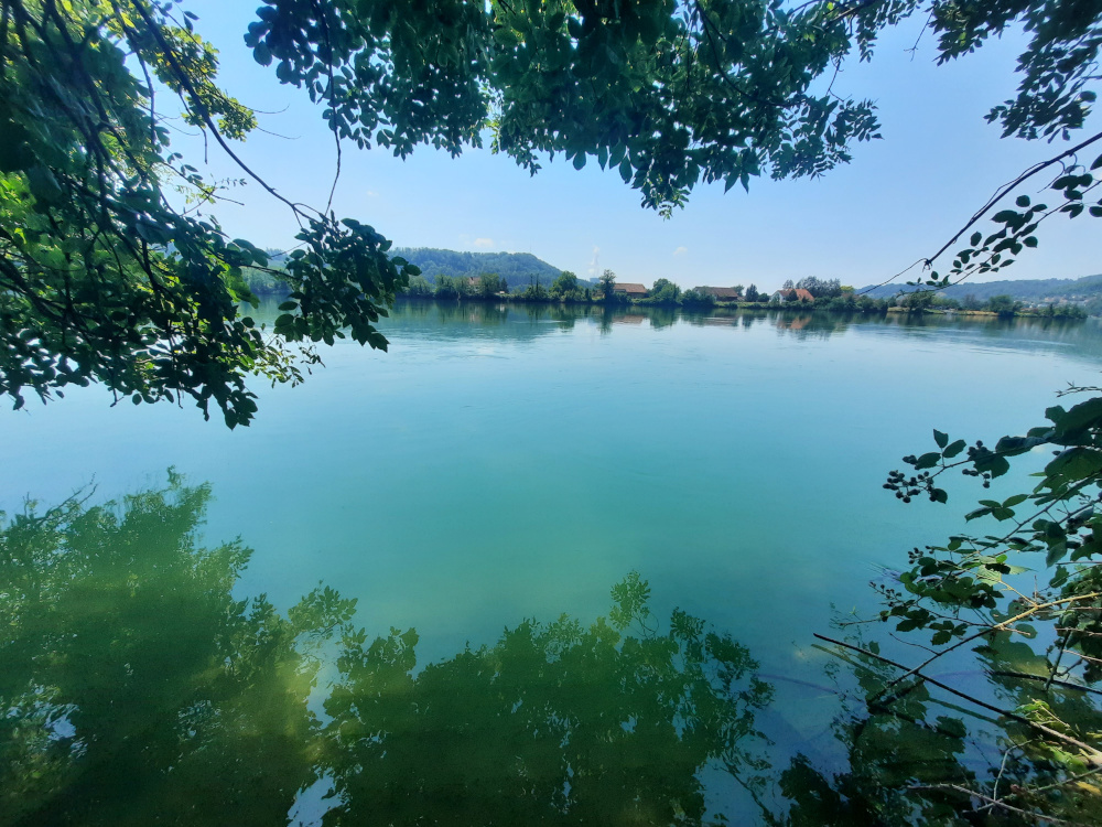 Rhein