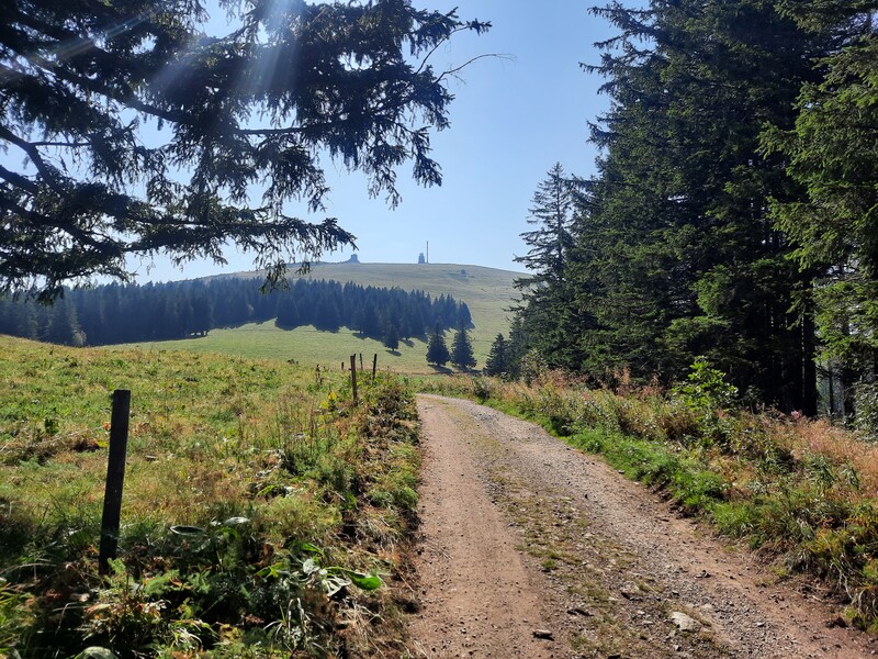 Auf dem Weg zum Feldberg